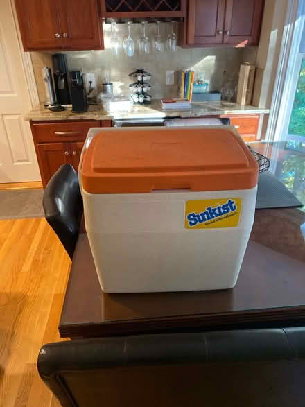 Photo of free Sunkist cooler (Near Hudson line) #1