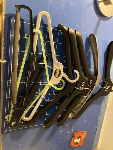 Photo of free Clothes hangers (Acton W3) #1
