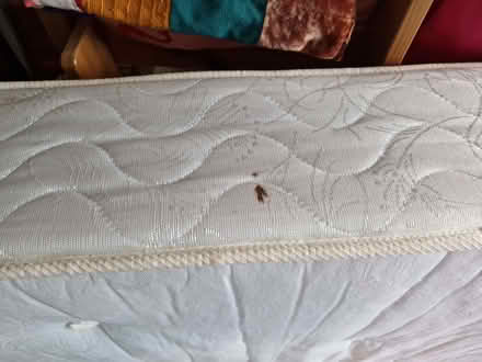 Photo of free Mattress - small double (Walnut Tree MK7) #1