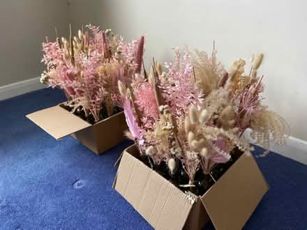 Photo of free Table decorations (Buggs Bottom RG4) #4