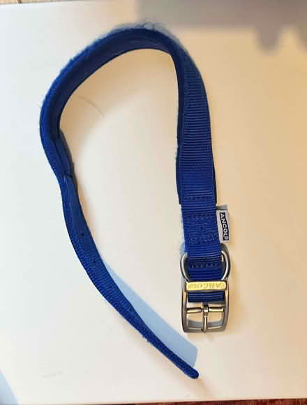 Photo of free Dog collar and slow feeder bowl (BT6) #1