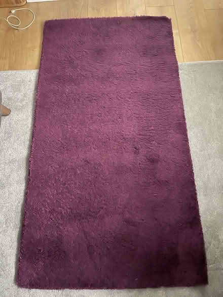 Photo of free IKEA Rug (Enfield EN1) #1