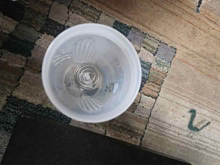 Photo of free Protein shaker & foam roller (Camberwell) #4