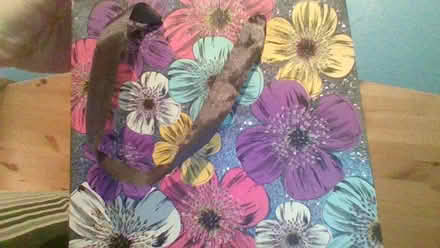 Photo of free cute gift bags (Globe Town E2) #3