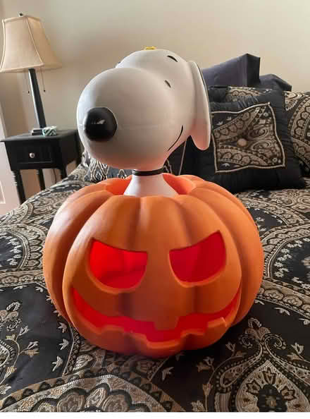 Photo of free Snoopy pumpkin (Mount Vernon) #1