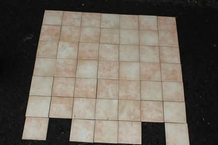 Photo of free Tiles (Eynsham OX29) #2