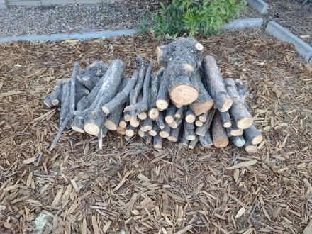 Photo of free Pine firewood (NE Heights: Juan Tabo - Menaul) #1