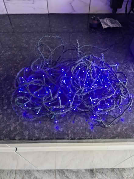 Photo of free Blue LED fairy lights (BA1) #2