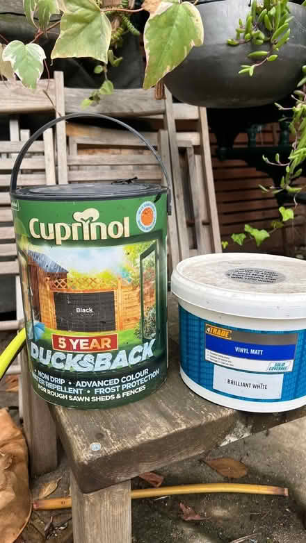 Photo of free Cuprinol Ducks Back - almost full (E8 Greenwood Road) #1