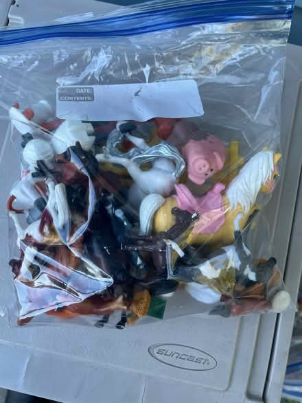 Photo of free Small plastic animals (Village of Williamsville) #2