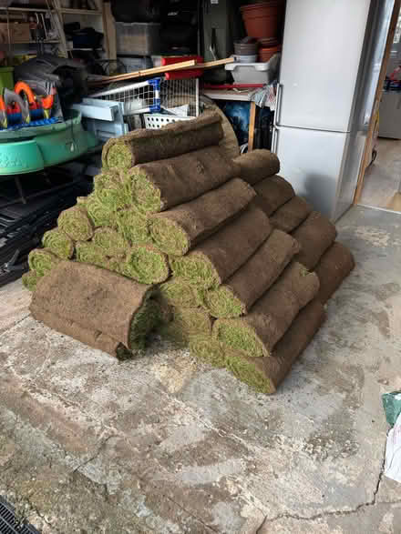 Photo of free Grass rolls (IG8) #1