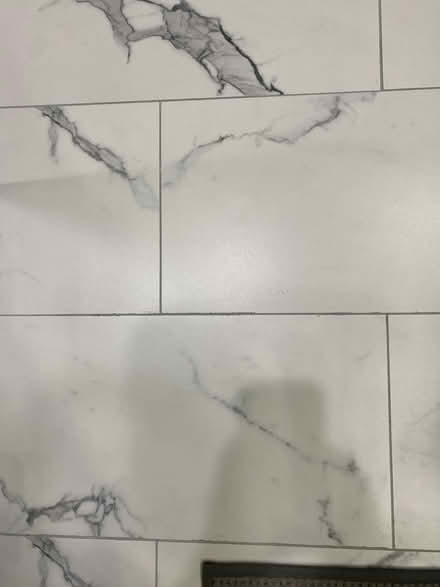 Photo of free Bathroom floor/wall tile (Sauganash south of Rogers Ave) #1