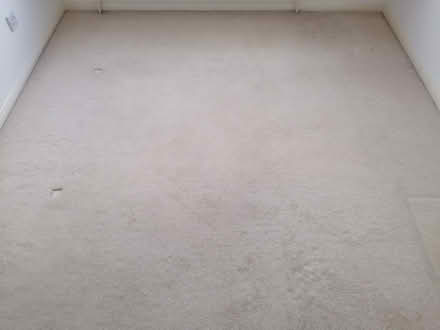 Photo of free Used carpet beige color (Furze Platt SL6) #2