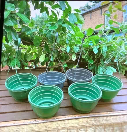 Photo of free Hanging baskets (Belle Vue SY3) #1