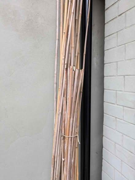 Photo of free Garden canes (Grove Park SE9) #1