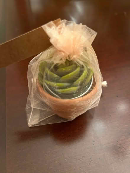 Photo of free Succulent Tea lights (Jackson, NJ) #3