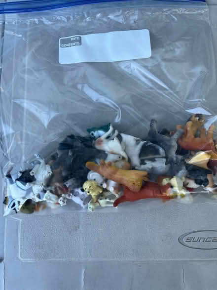 Photo of free Small plastic animals (Village of Williamsville) #3