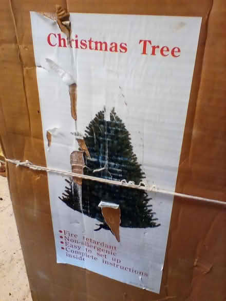 Photo of free Large Christmas tree (Castle Eaton, SN6) #1