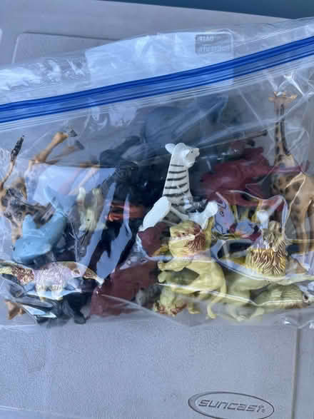 Photo of free Small plastic animals (Village of Williamsville) #1