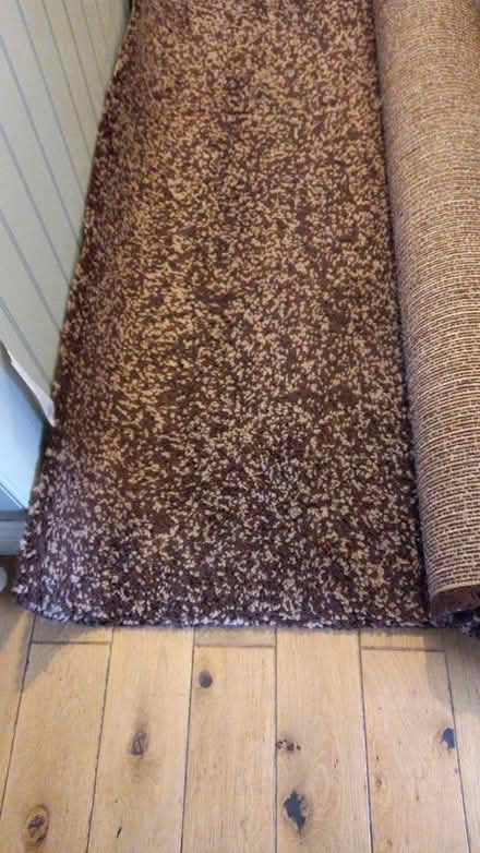 Photo of free Large rectangular rug (Near Ivybridge) #1