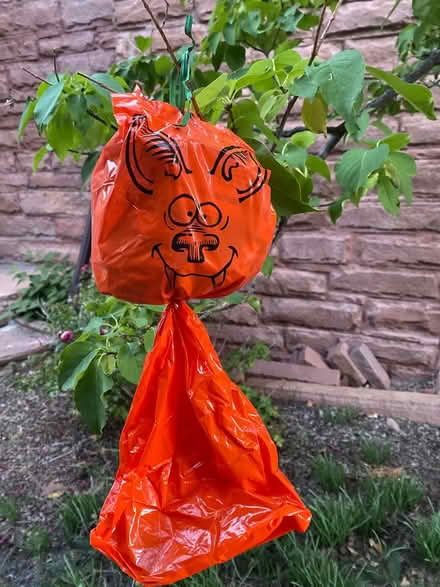 Photo of free Halloween ghosts to hang outside (southeast Denver) #2