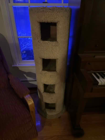 Photo of free Cat tower (Wakefield) #1