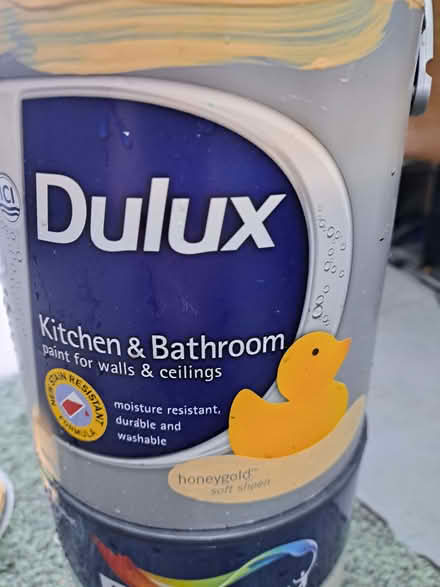 Photo of free Dulux paint (Botley OX2) #2