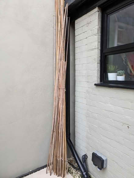 Photo of free Garden canes (Grove Park SE9) #2