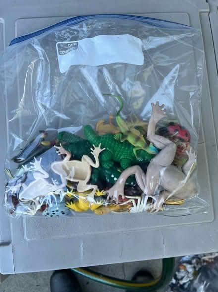 Photo of free Small plastic animals (Village of Williamsville) #4