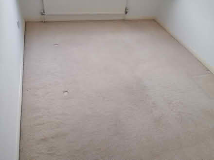 Photo of free Used carpet beige color (Furze Platt SL6) #1