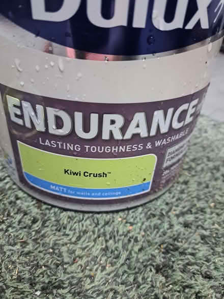 Photo of free Dulux paint (Botley OX2) #3