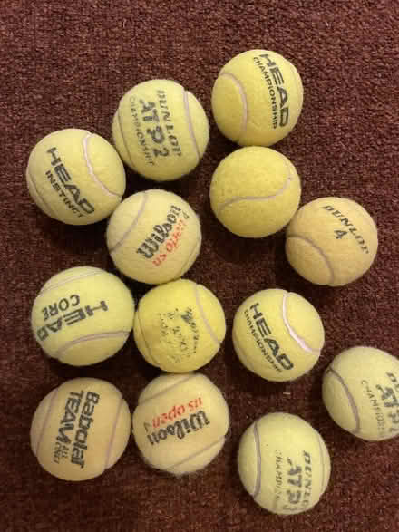 Photo of free Used tennis balls (Seven Sisters N15) #1