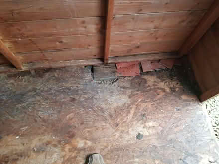 Photo of free Garden Shed (CT9) #3