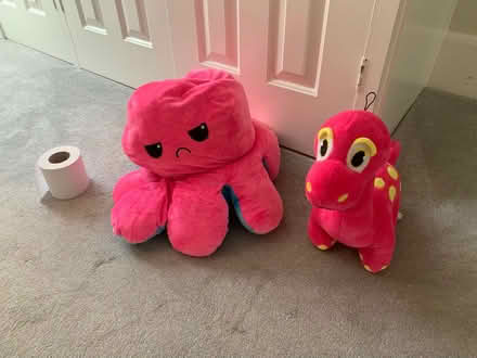 Photo of free Large soft toys (BR1 sundridge park) #2