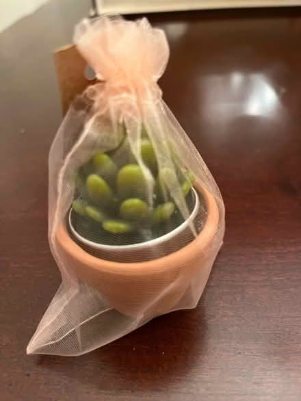 Photo of free Succulent Tea lights (Jackson, NJ) #2