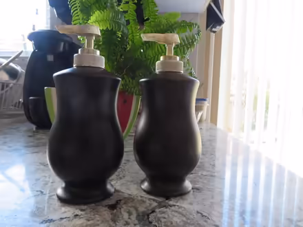 Photo of free Porcelain Soap Pumps (Churchill Meadows) #1