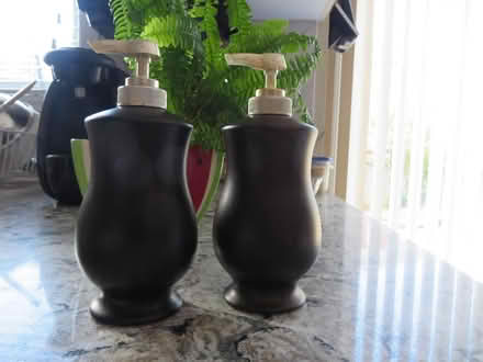 Photo of free Porcelain Soap Pumps (Churchill Meadows) #1