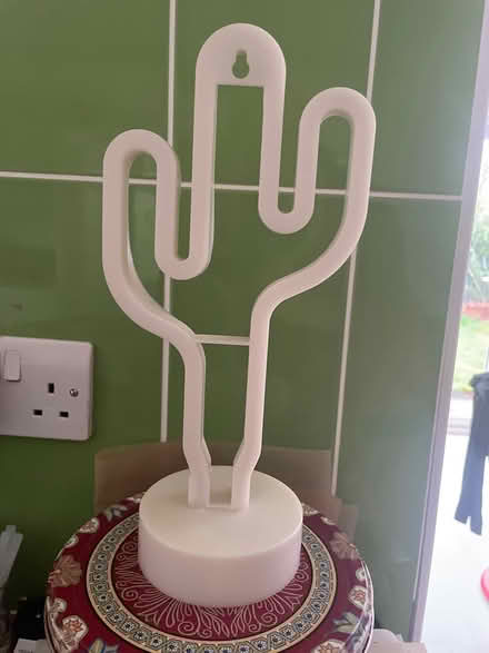 Photo of free Cactus lamp (kenilworth CV8) #1