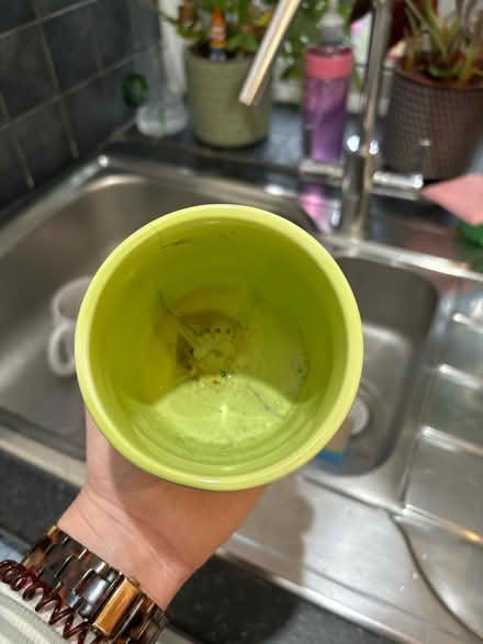 Photo of free Ceramic pot (Carshalton SM5) #3
