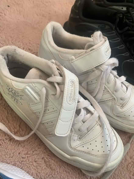 Photo of free Trainers (WV3) #4