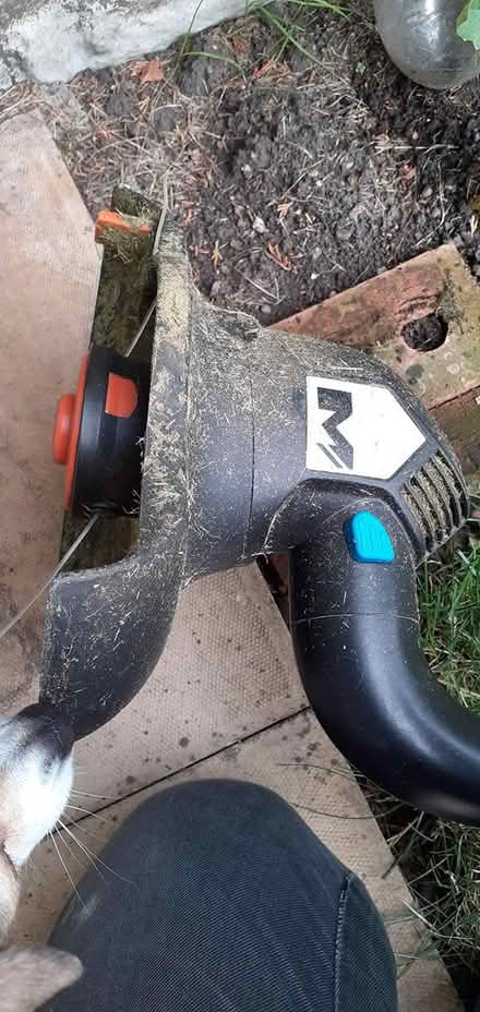 Photo of free Strimmer (NG8) #3