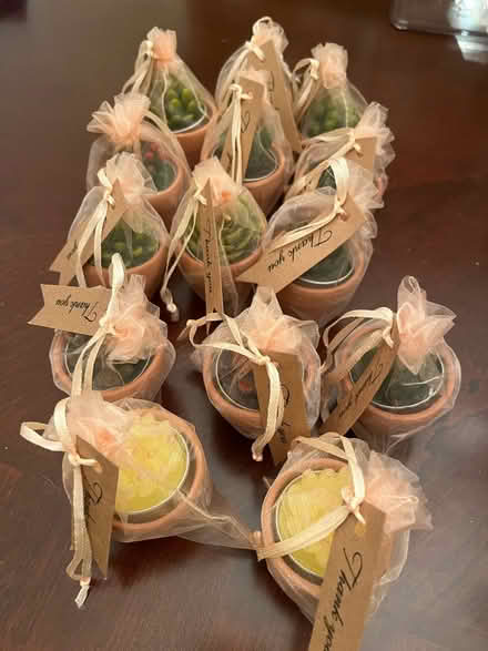 Photo of free Succulent Tea lights (Jackson, NJ) #1
