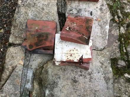 Photo of free Used quarry tiles (Whitchurch, Tavistock) #3