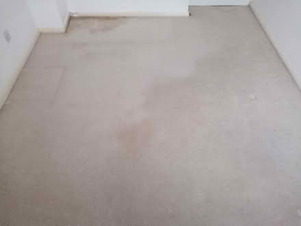 Photo of free Used carpet beige color (Furze Platt SL6) #3