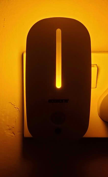 Photo of free Night light (Cherry Orchard) #2