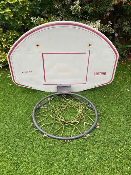 Photo of free Basketball hoop board (Furze Platt SL6) #1