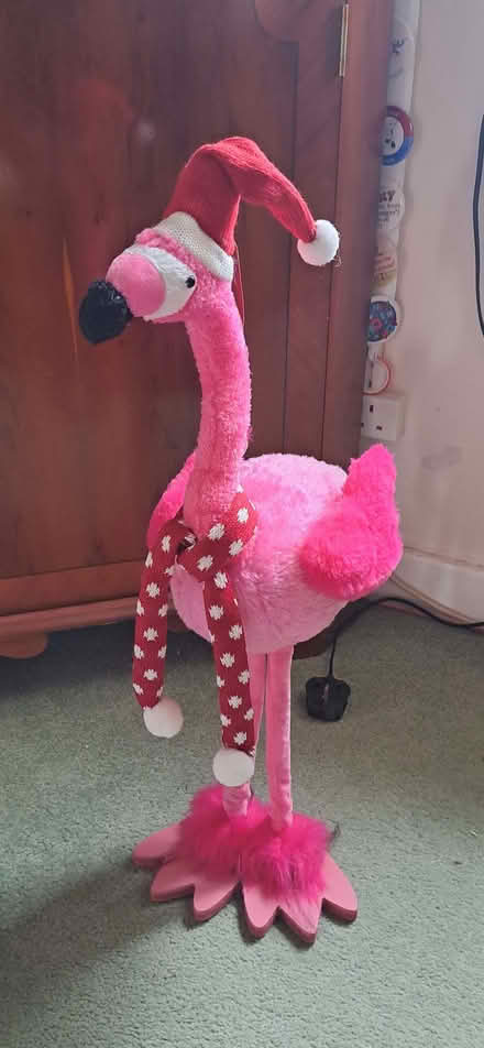Photo of free Pink Flamingo (CT11) #1