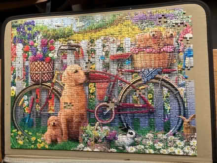 Photo of free Jigsaw puzzles (Emscote CV34) #4