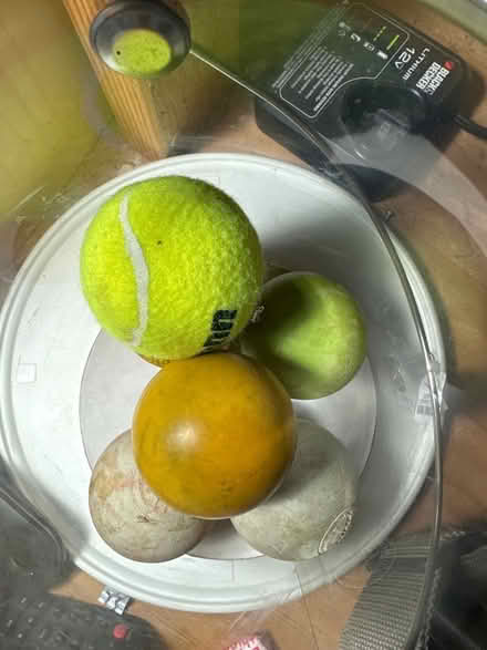 Photo of free Lacrosse balls (East Petaluma) #1
