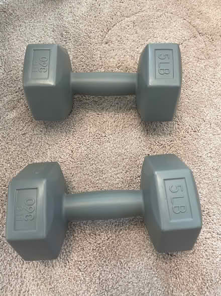 Photo of free Plastic Dumbbells (Westboro) #1